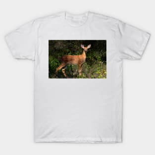 Fawn Times - White-tailed deer T-Shirt